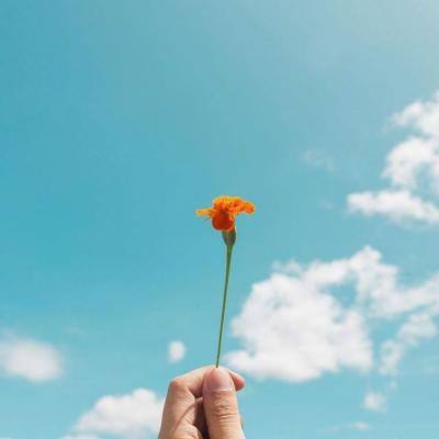 快盈lV购彩大厅下载手机版