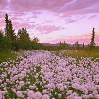 澳门太阳游戏城app下载手机版