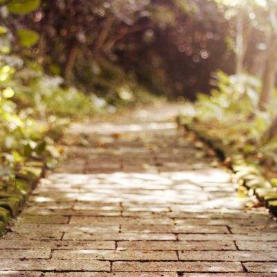 开云集团app下载